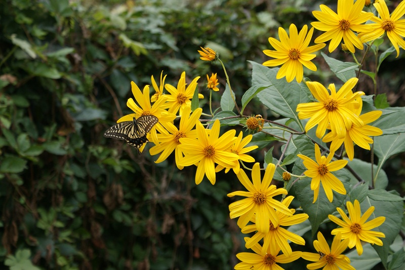 ���������� �ܺ��� ʱ���㳡.jpg